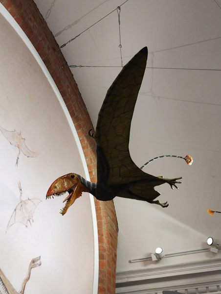 pterosaur